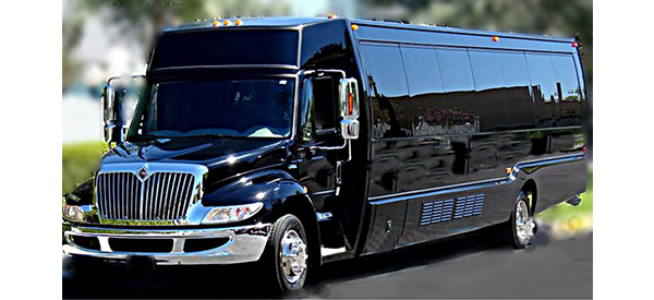 BUS-MINI-COACH-Mini-Coach